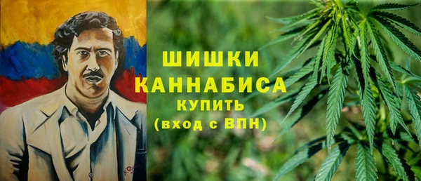 дурь Осинники