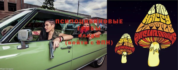 дурь Осинники