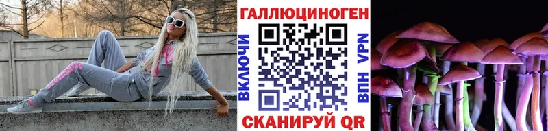 Галлюциногенные грибы мицелий  Купить закладки  Калининец 